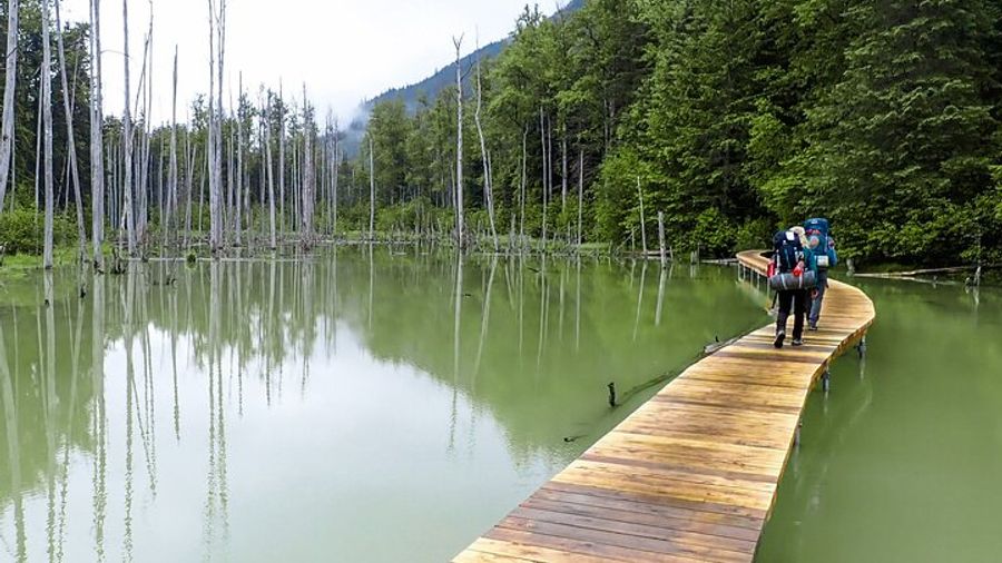 Chilkoot Trail 6-Hour Hike & Float & White Pass Summit Drive