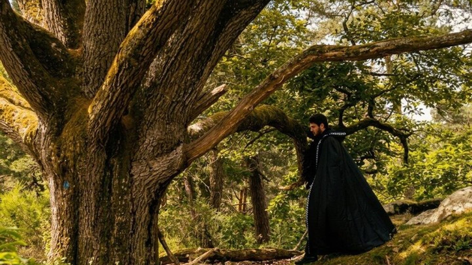 Los misterios del bosque de Fontainebleau: un recorrido inmersivo