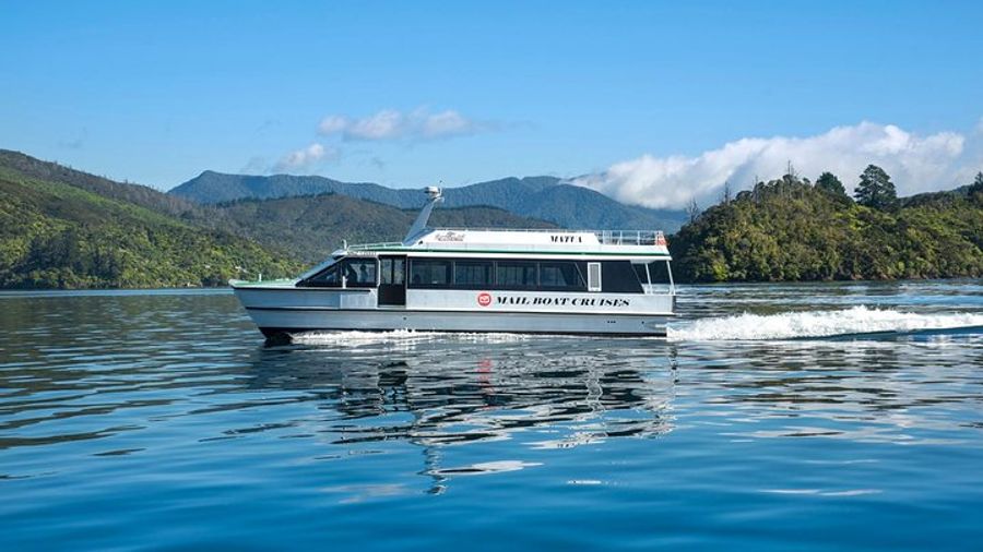 Queen Charlotte Sound Half-Day Cruise With Ship Cove Stop From Picton