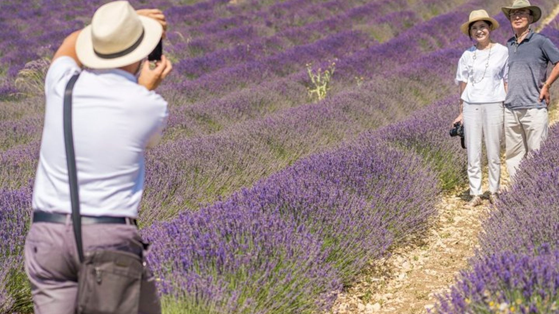 Tour a los campos de lavanda de Provenza desde Aix-en-Provence