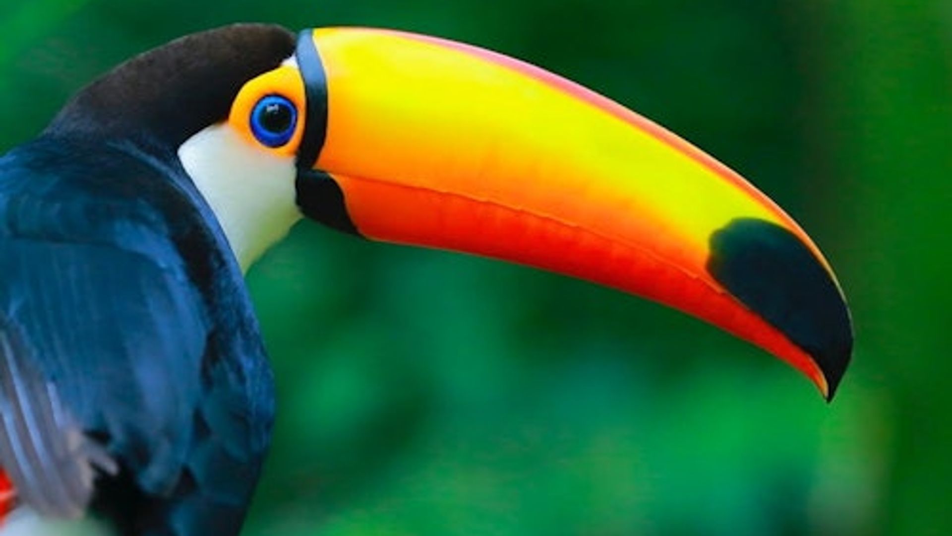 Zoo de Labenne: Entry Ticket