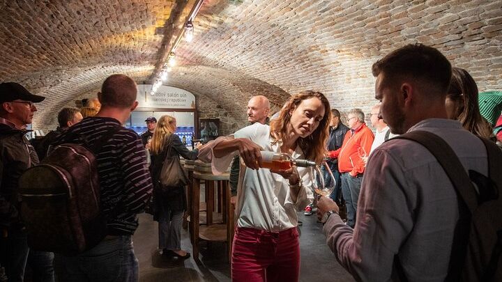 Bratislava Wine-Tasting Experience with a Sommelier