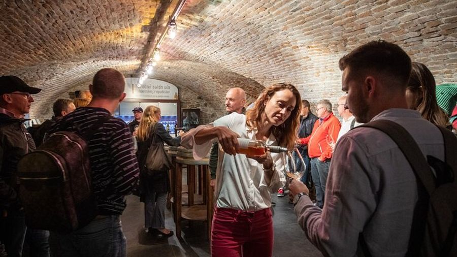 Bratislava Wine-Tasting Experience with a Sommelier