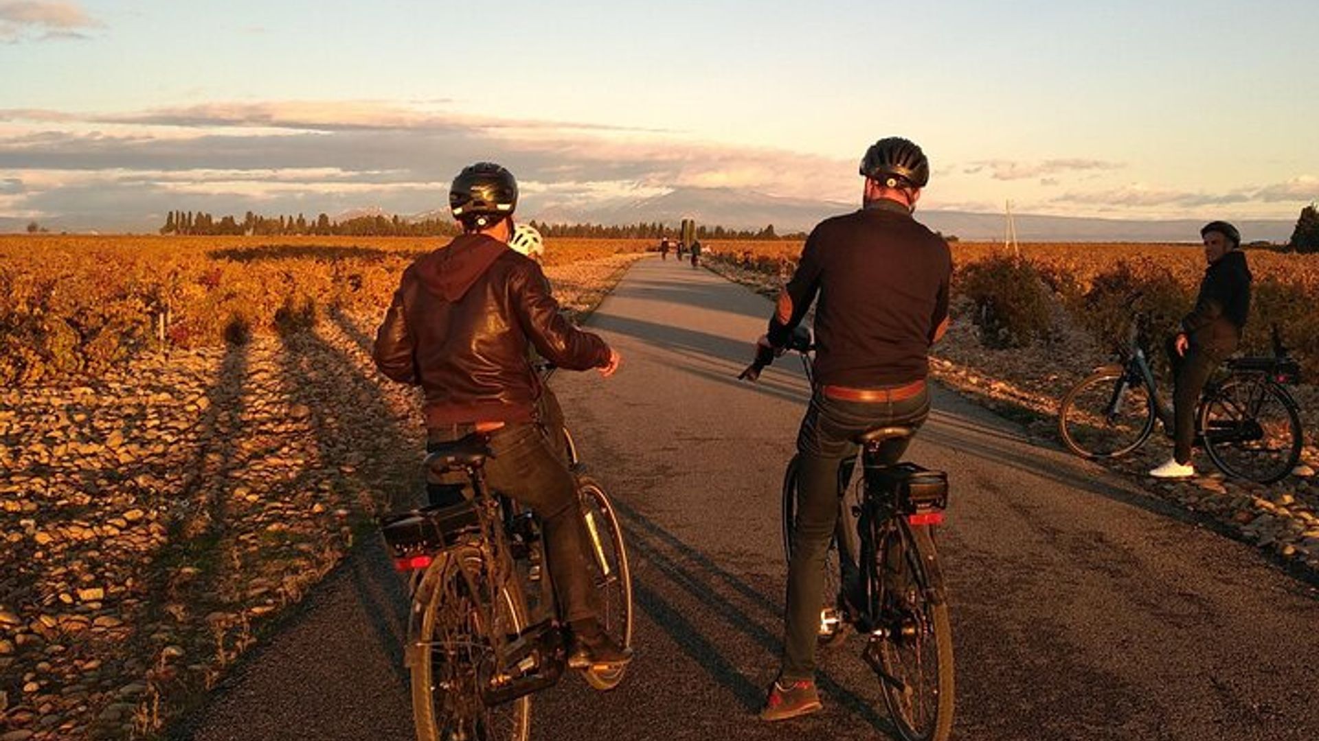 Paseo en bicicleta eléctrica por Provenza y degustación de vinos