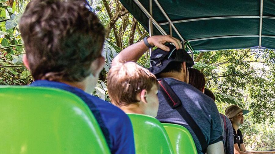 Monkey Mangrove Boat in Quepos, Costa Rica