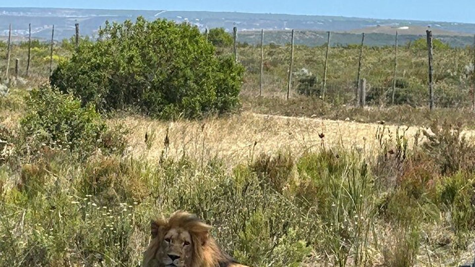 Garden Route Experience
