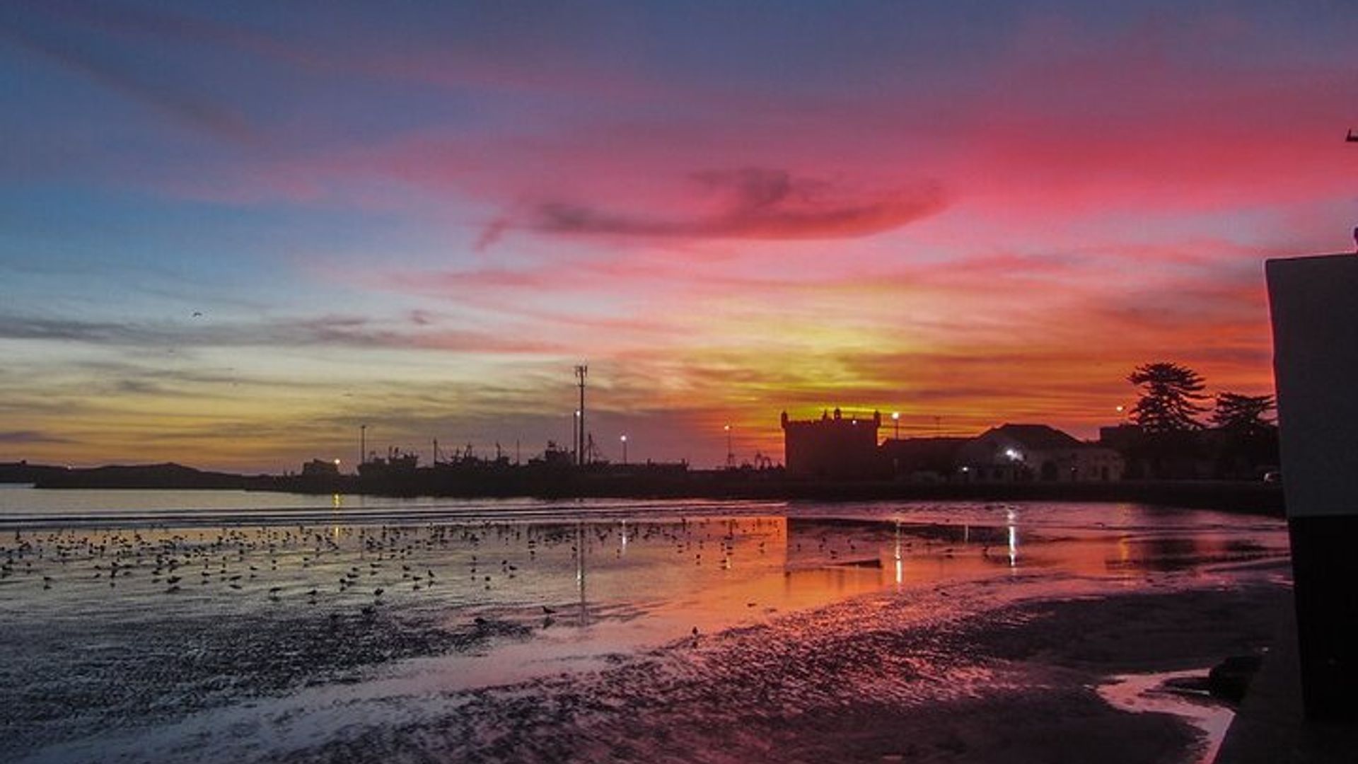 Petit Port De Pêche D'essaouira