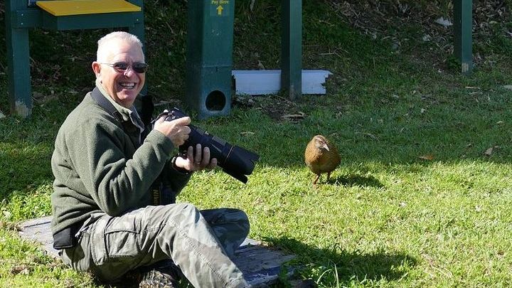 Blumine Island Bird- and Dolphin-Watching Eco-Tour From Picton
