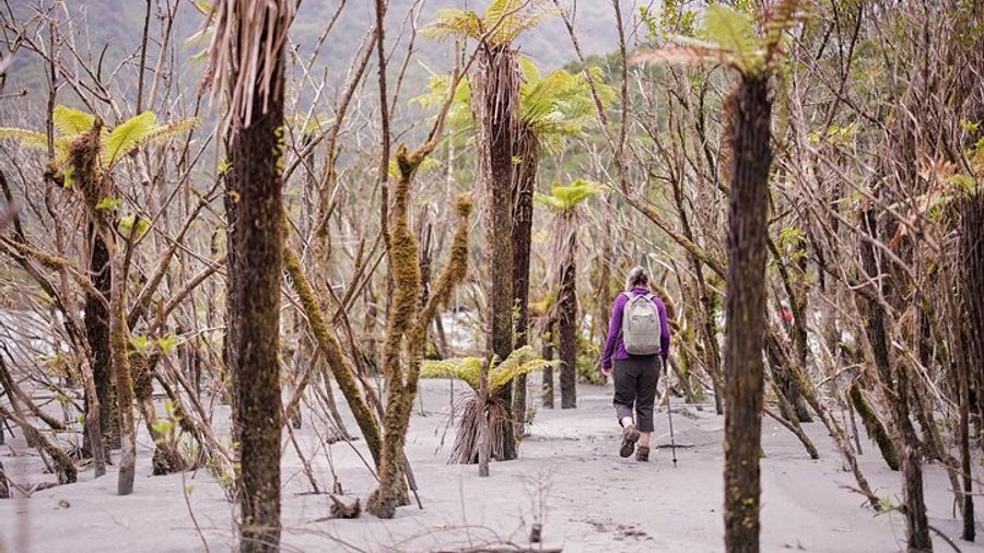 Short Franz Josef Nature Tour