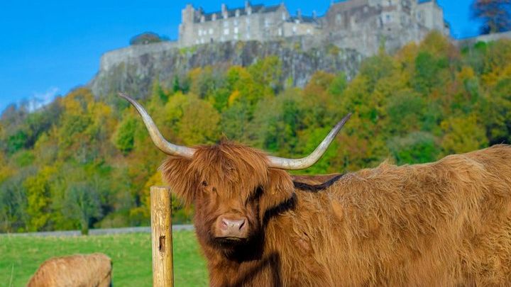 Stirling Castle, Trossachs and Loch Lomond Tour from Edinburgh