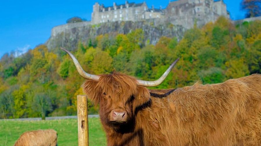 Stirling Castle, Trossachs and Loch Lomond Tour from Edinburgh