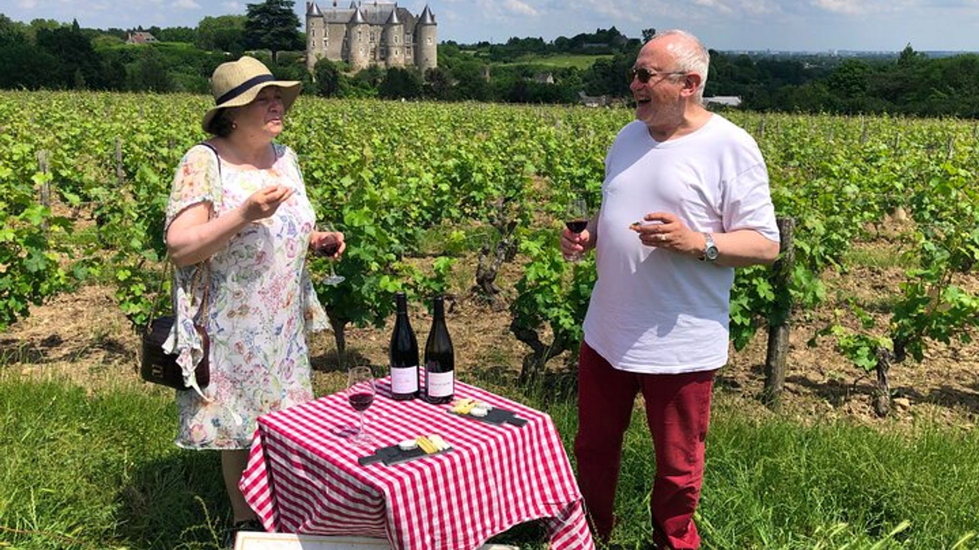 Tour enológico Touraine desde Tours o Amboise