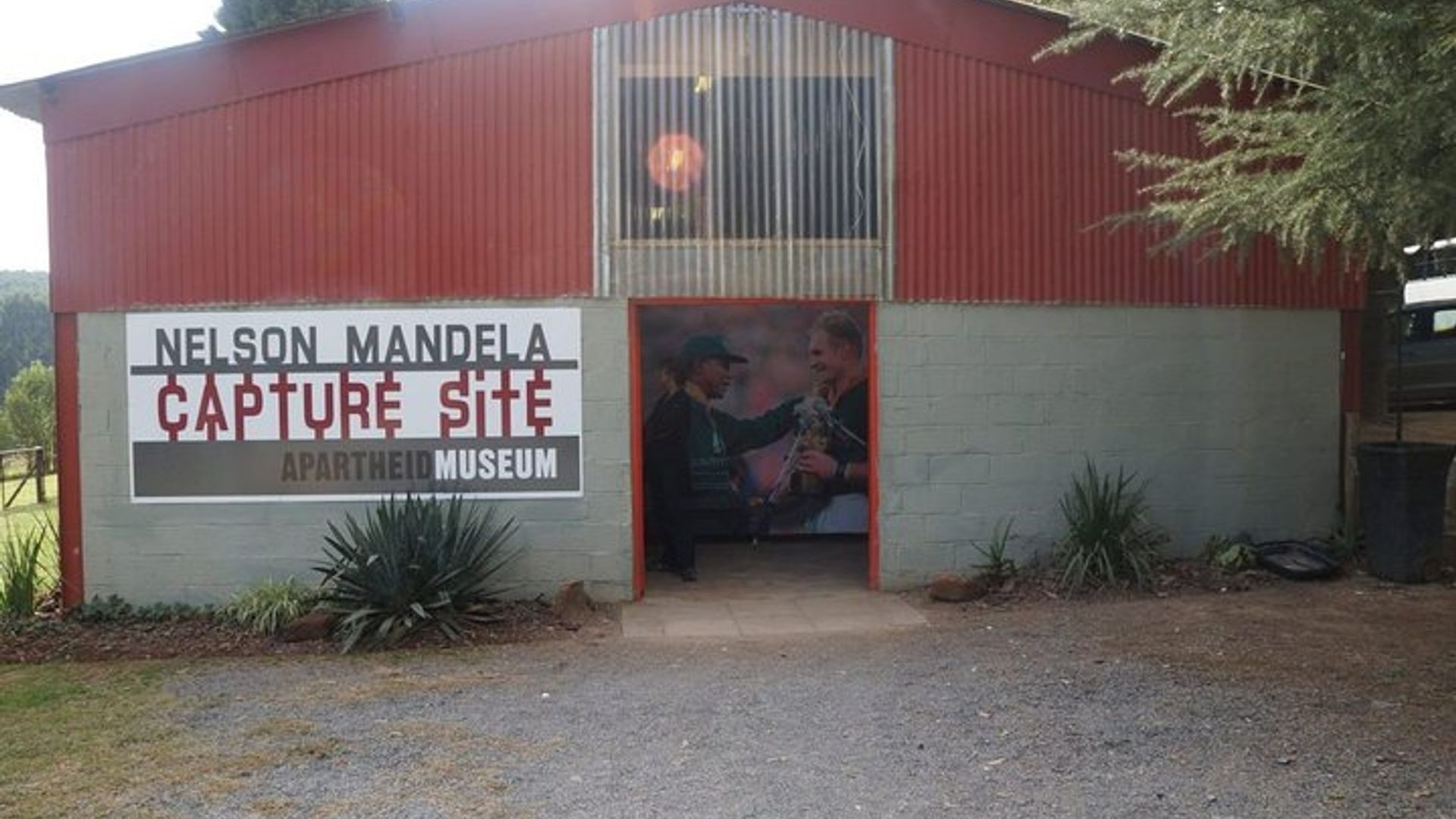 Johannesburg to Cape Town 10-Day Private Safari Tour