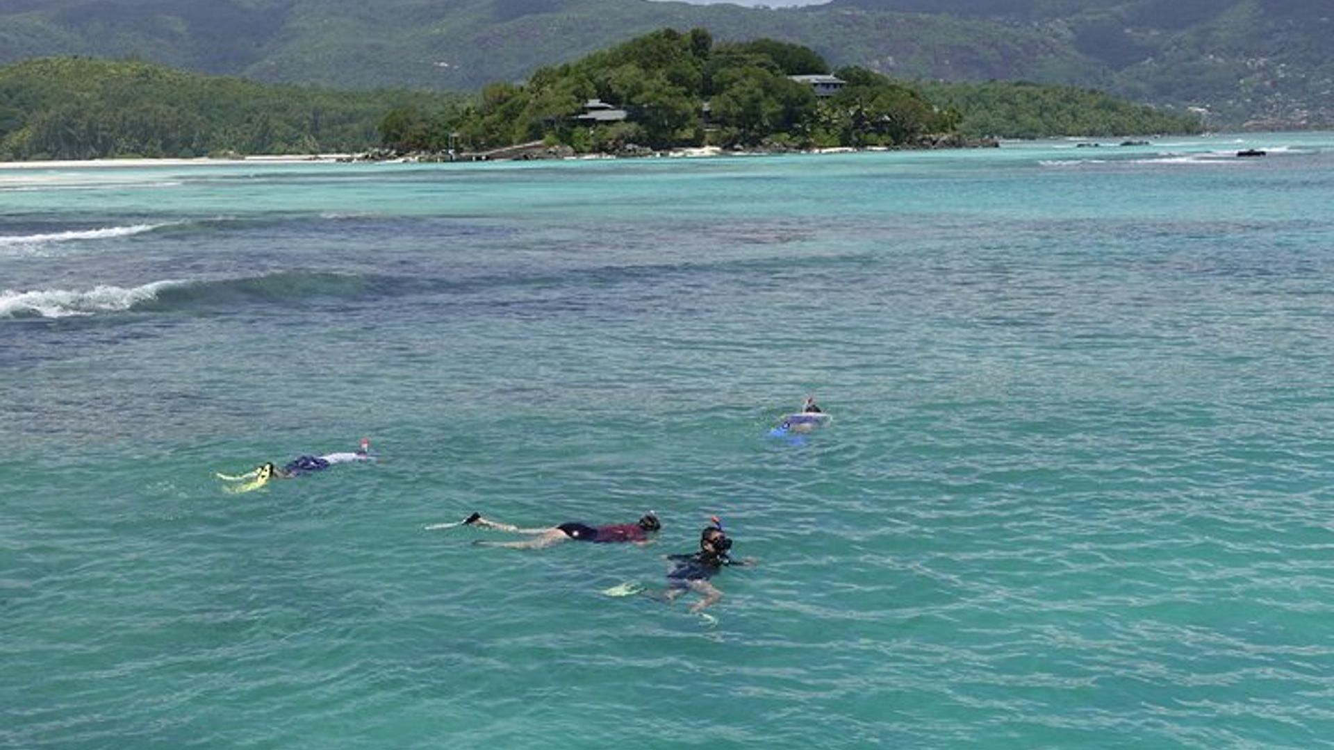 Mahe Small-Group St. Anne Coral Reef Safari