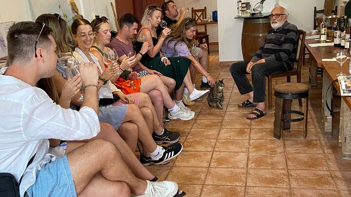 Nice 4- to 5-Hour Small-Group Wine-Tasting Vineyard E-Bike Tour