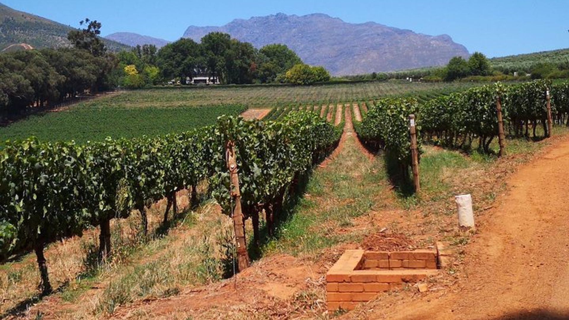 Excursion privée d'une journée de dégustation au Cap Winelands