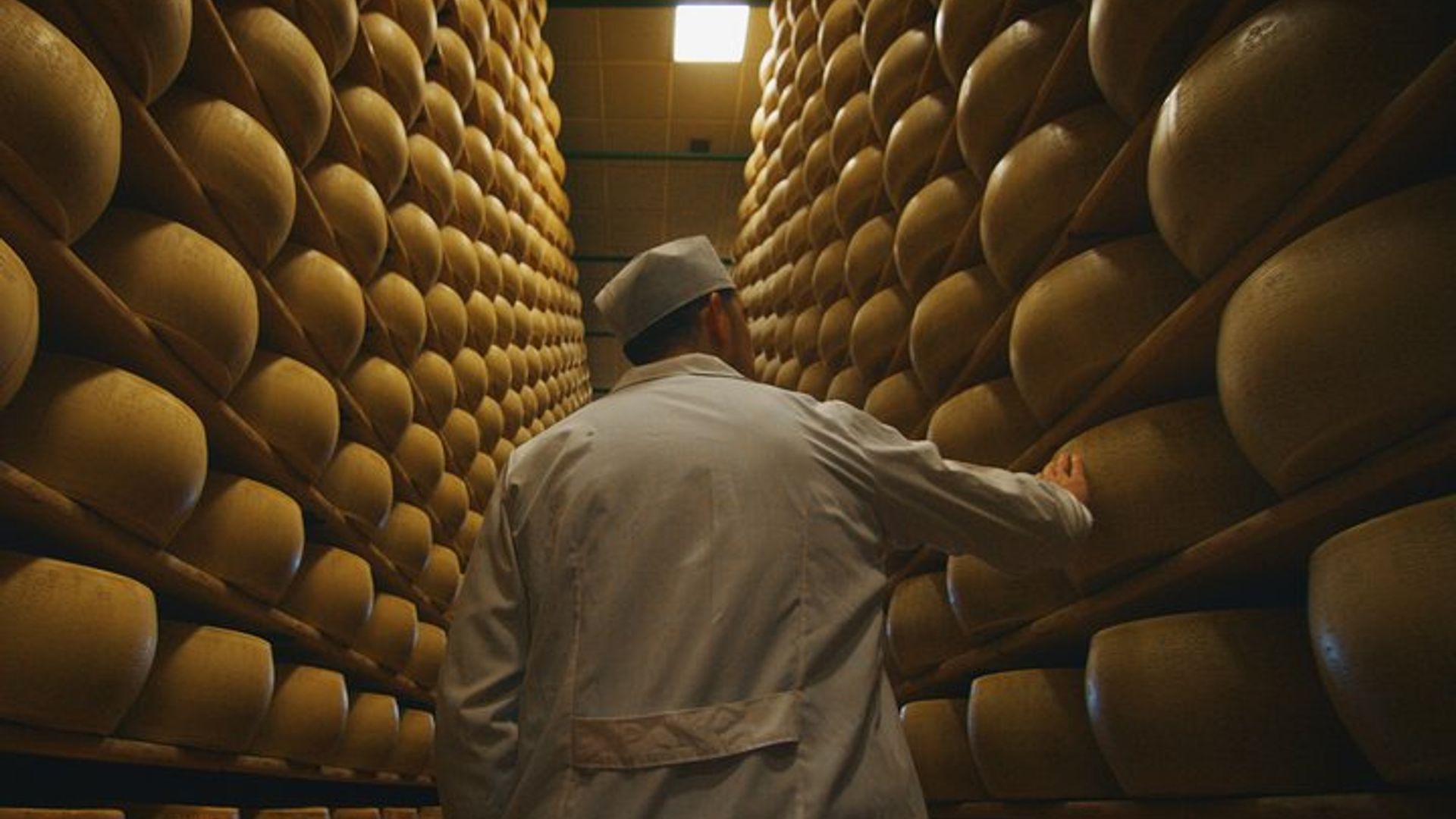 Parmigiano-Reggiano Cheese Factory Small group Tour From Parma