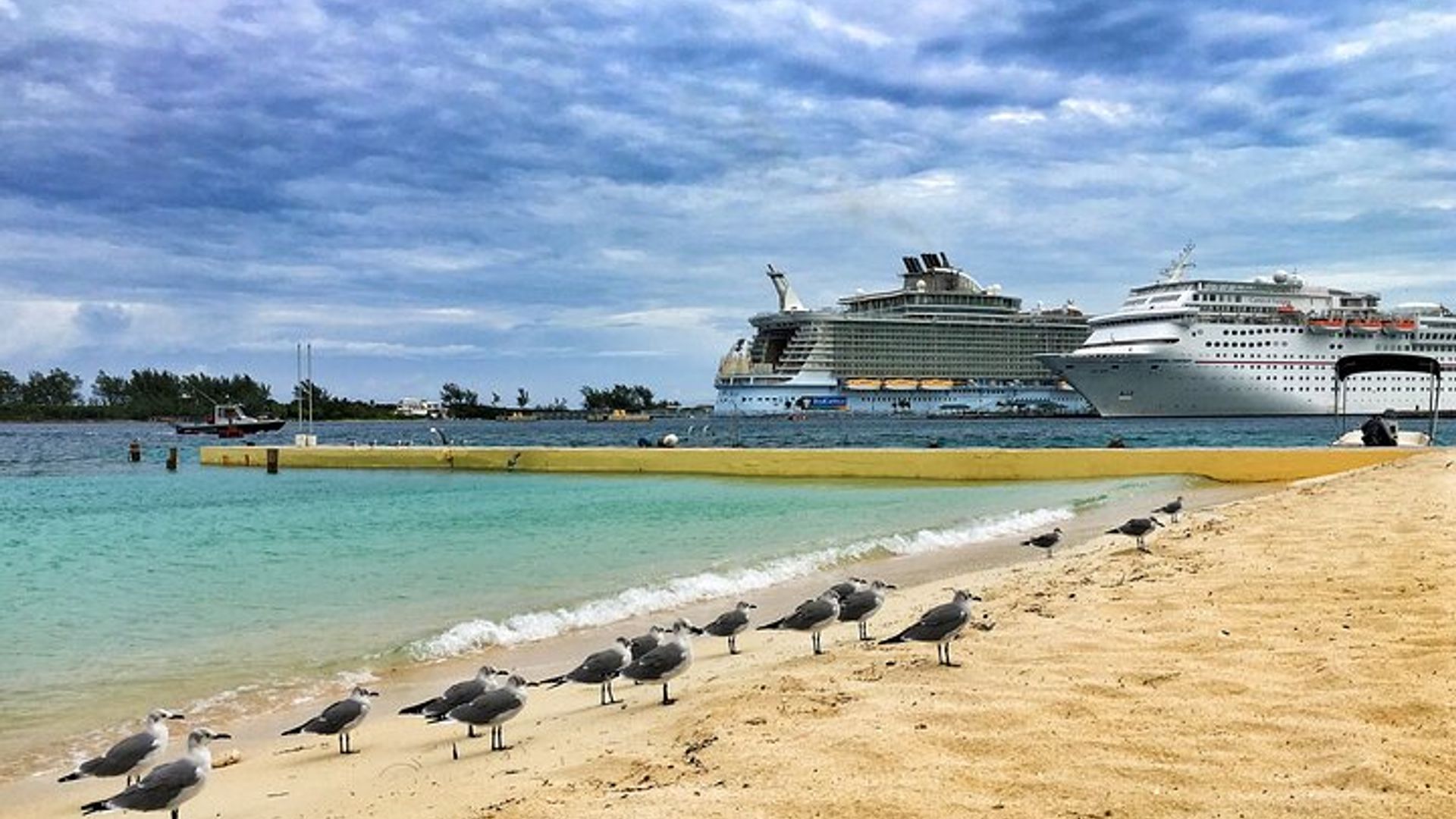 Fort Lauderdale and Palm Beach: Group Day Trip From Miami