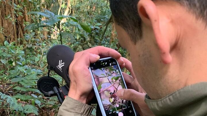 Guided Hike in the Monteverde Cloud Forest