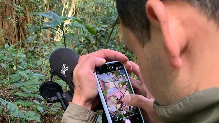 Guided Hike in the Monteverde Cloud Forest