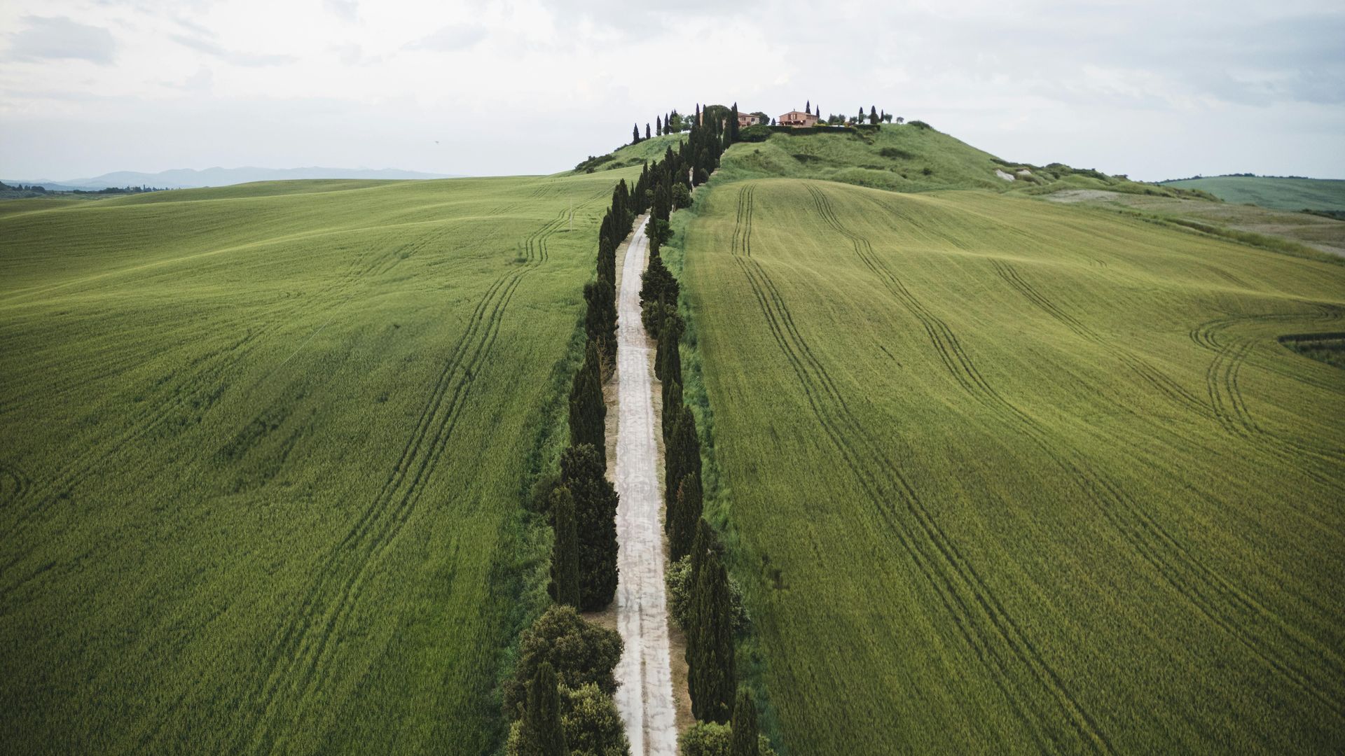 Val d'Orcia Masterpiece: E-Bike, Brunello & UNESCO Views