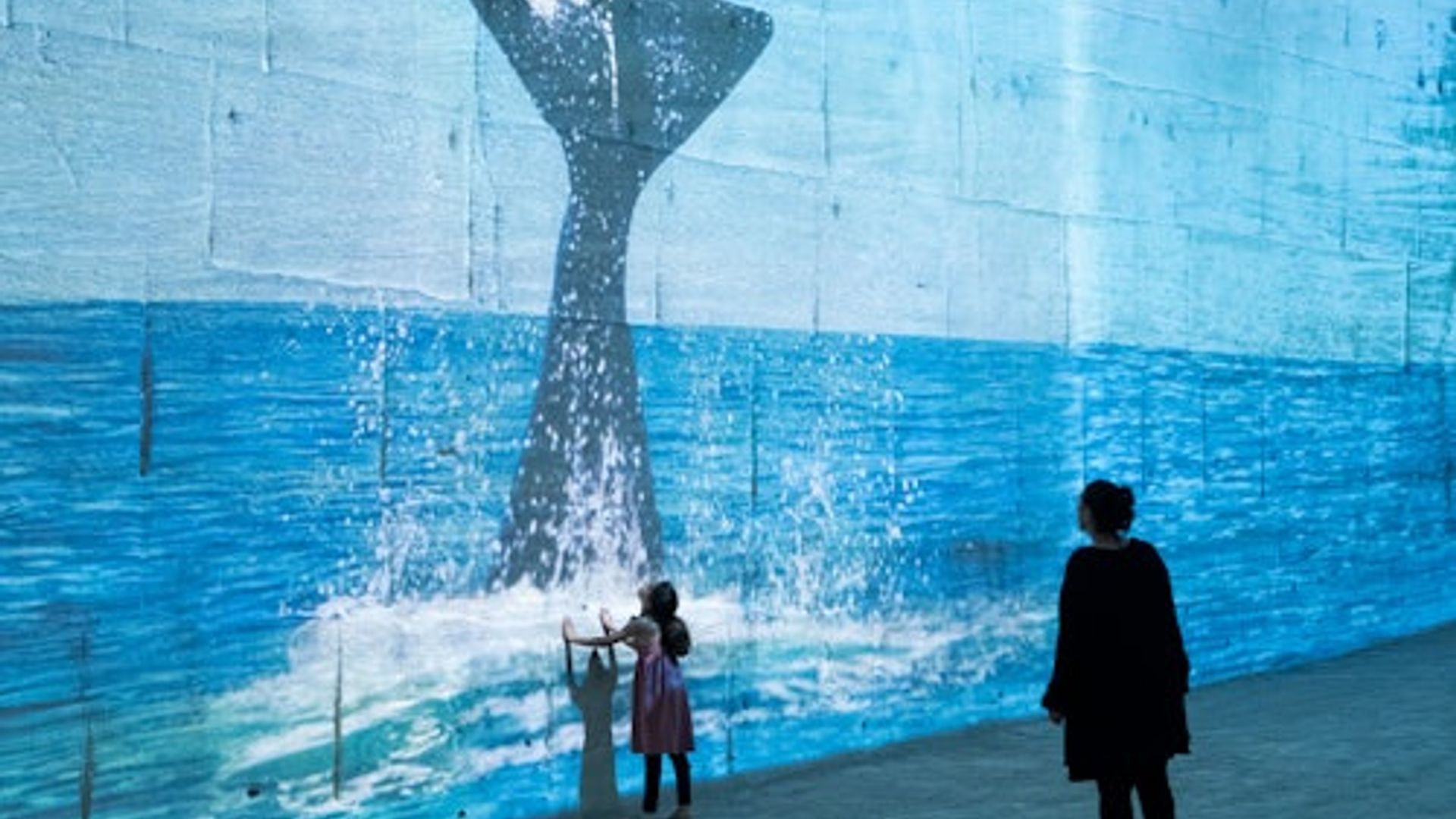 Carrières des Lumières : Exposition Océan