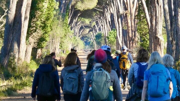 Hike in the San Rossore Park