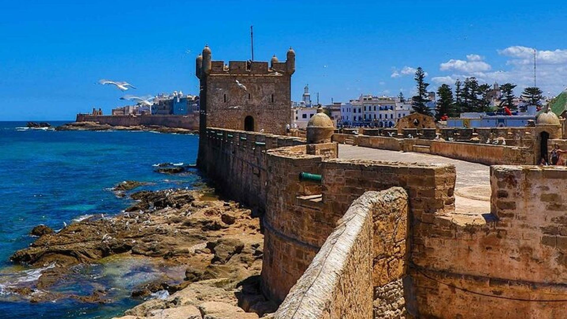 Tagestour in kleiner Gruppe von Marrakesch nach Essaouira