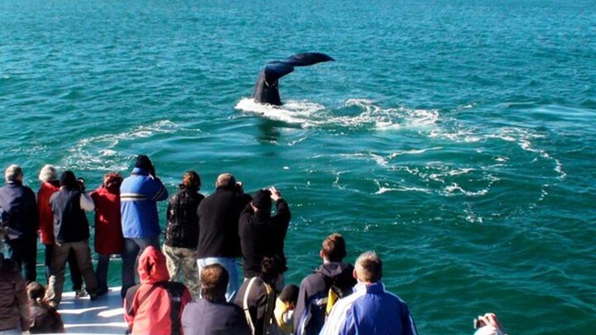 Garden Route 5 Day Small Group Tour from Cape Town Starts Any-Day