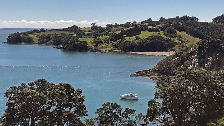 Waiheke Island: Full-Day Private Customizable Tour