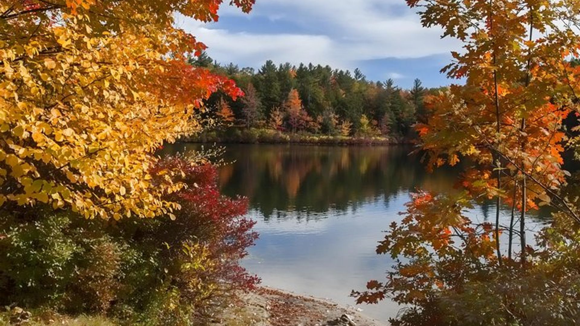 Boston to New Hampshire Fall Foliage White Mountains Day Trip