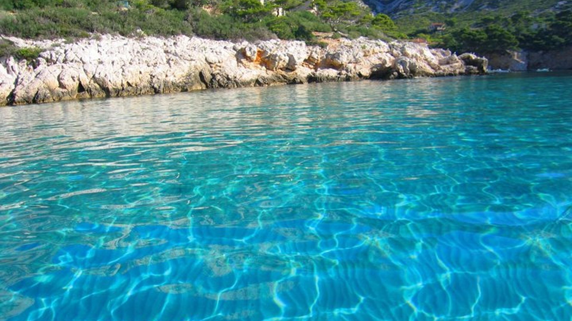 Herrliche Bootsfahrt in den Calanques mit Bademöglichkeit