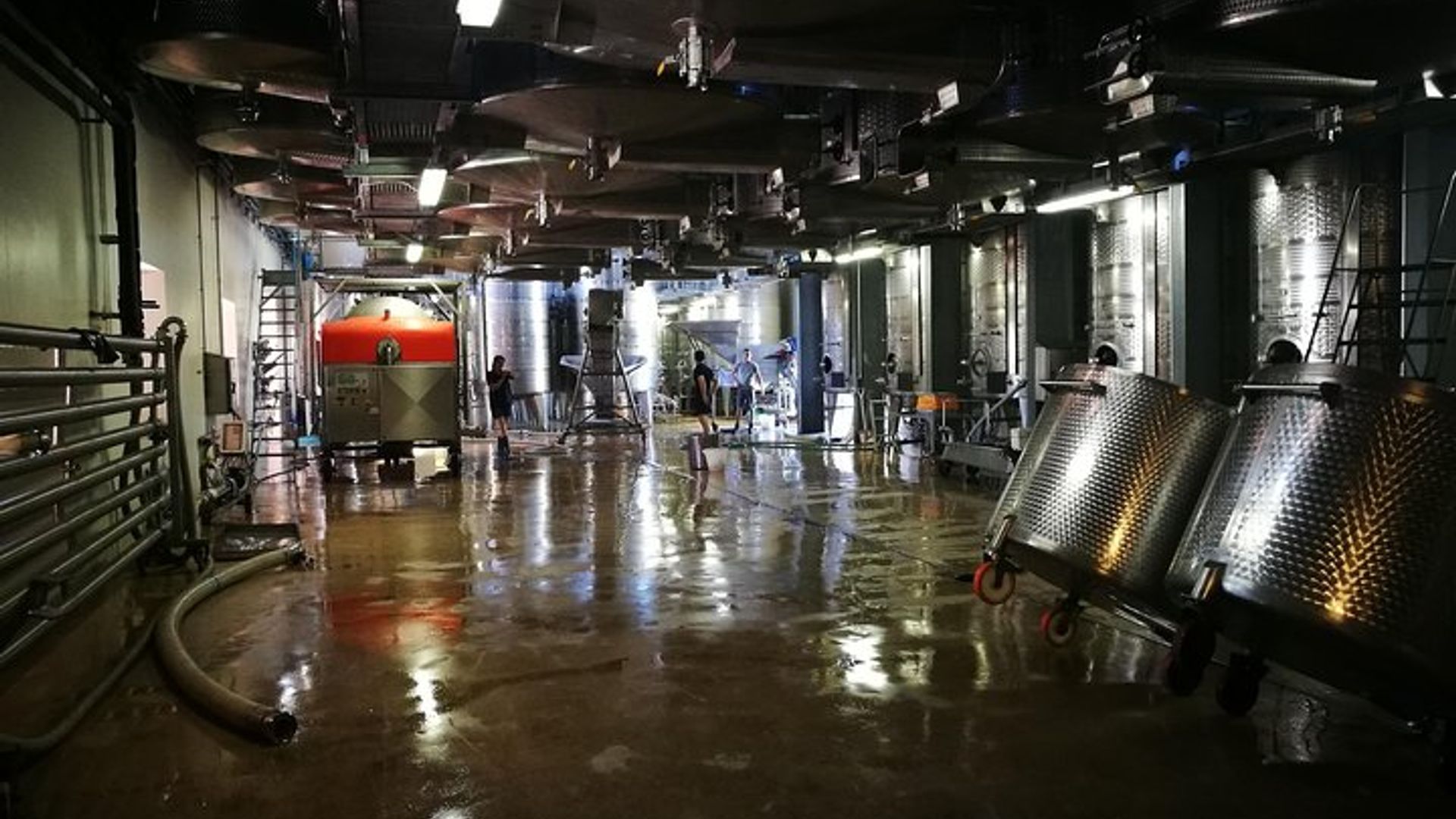 Visite guidée privée des vignobles du Cap depuis Cape Town