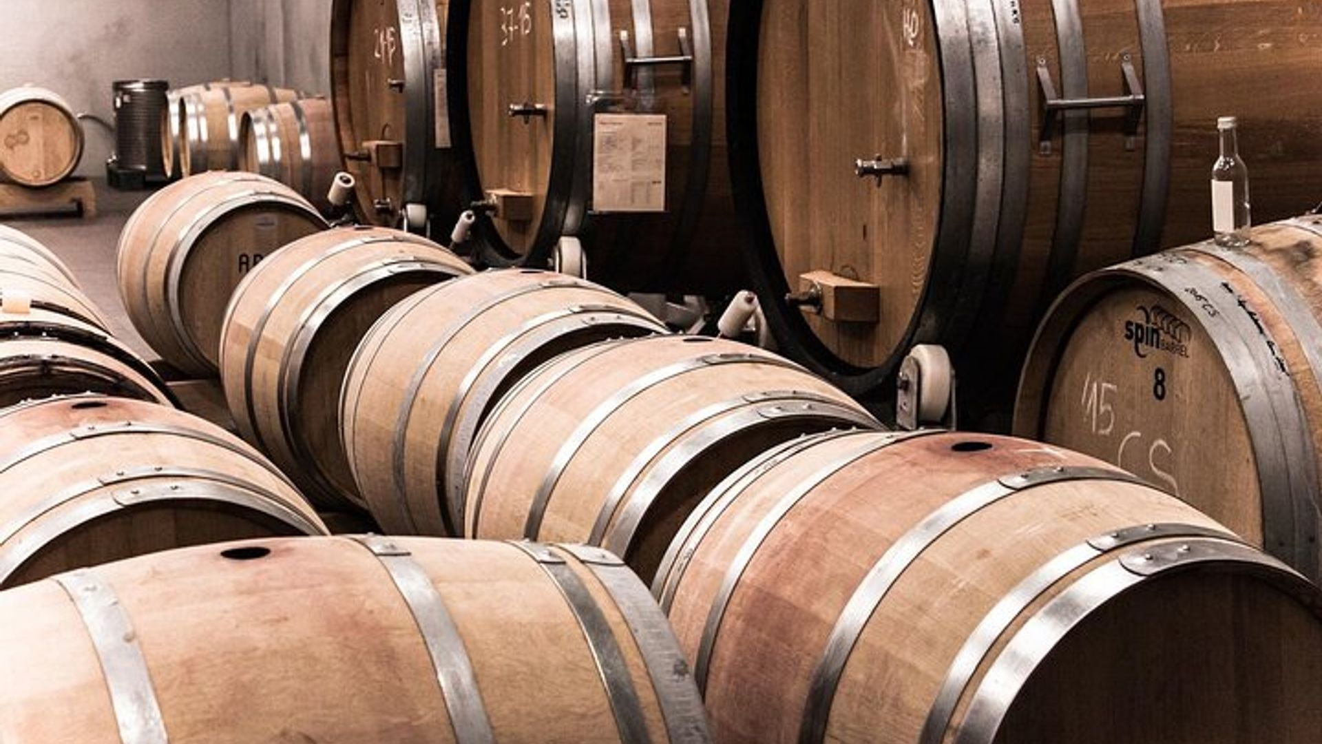 Stellenbosch Half-Day Small-Group Wine Tour