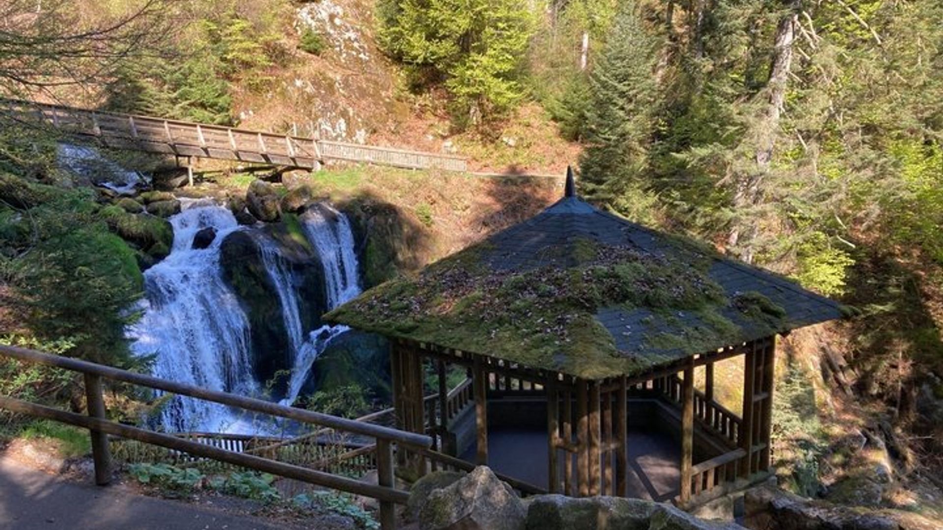 From Strasbourg: Visit to the Black Forest in Triberg, Titisee, Freiburg
