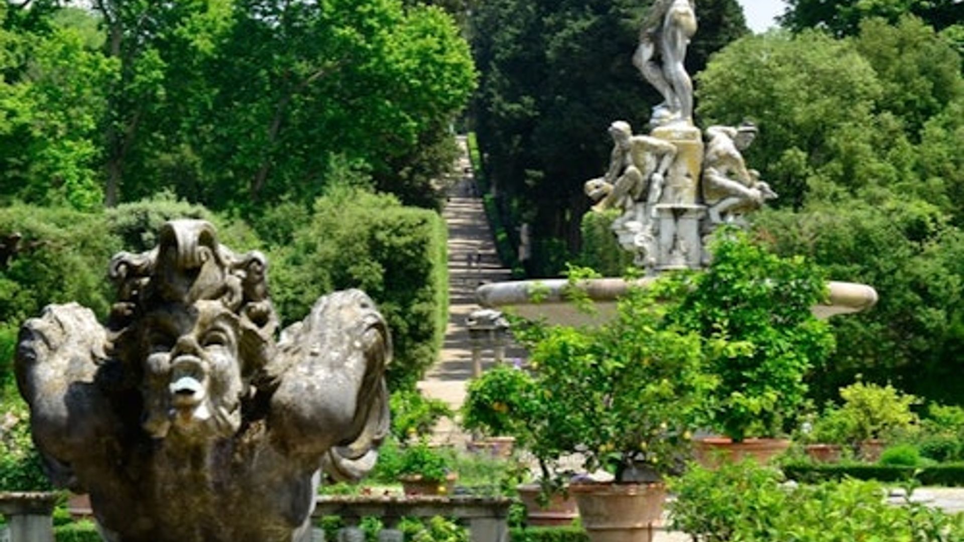 Palazzo Pitti & Boboli Gardens: Entry Ticket + Guided Tour
