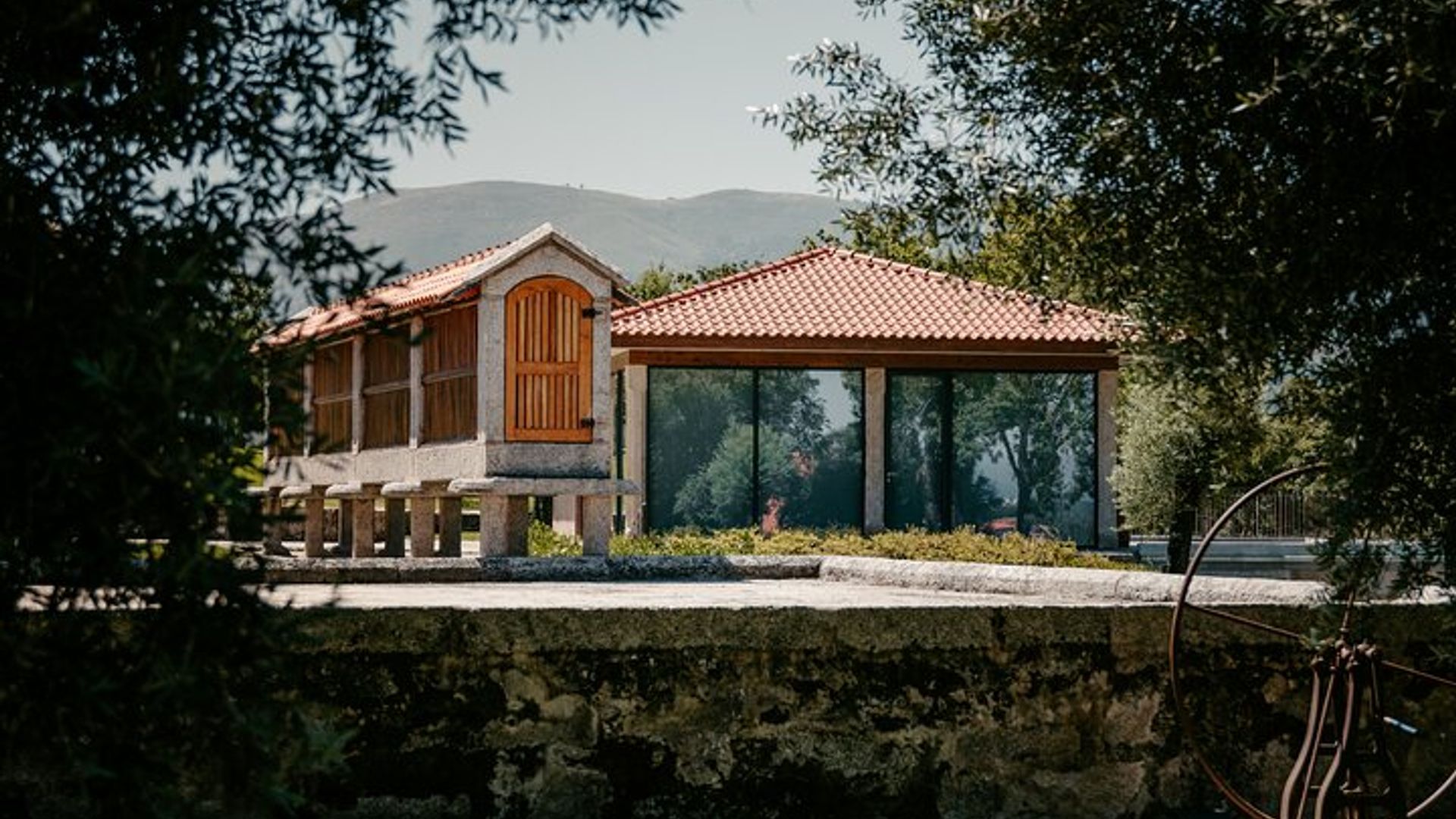 Dégustation de vin à la Quinta da Torre Anselmo Mendes