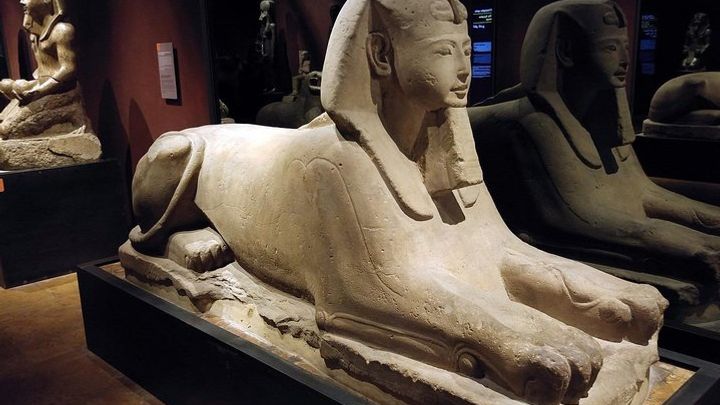 Egyptian Museum of Turin Small-Group Tour