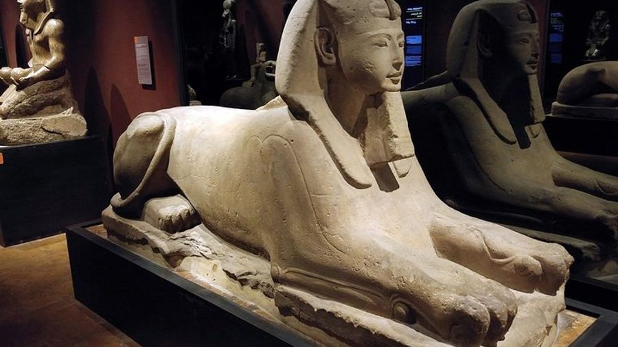 Egyptian Museum of Turin Small-Group Tour