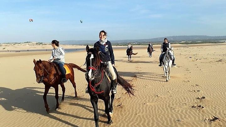 Horse riding on the beach of Essaouira 2 hours