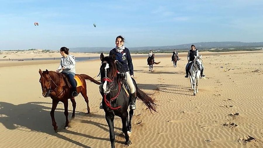 Horse riding on the beach of Essaouira 2 hours