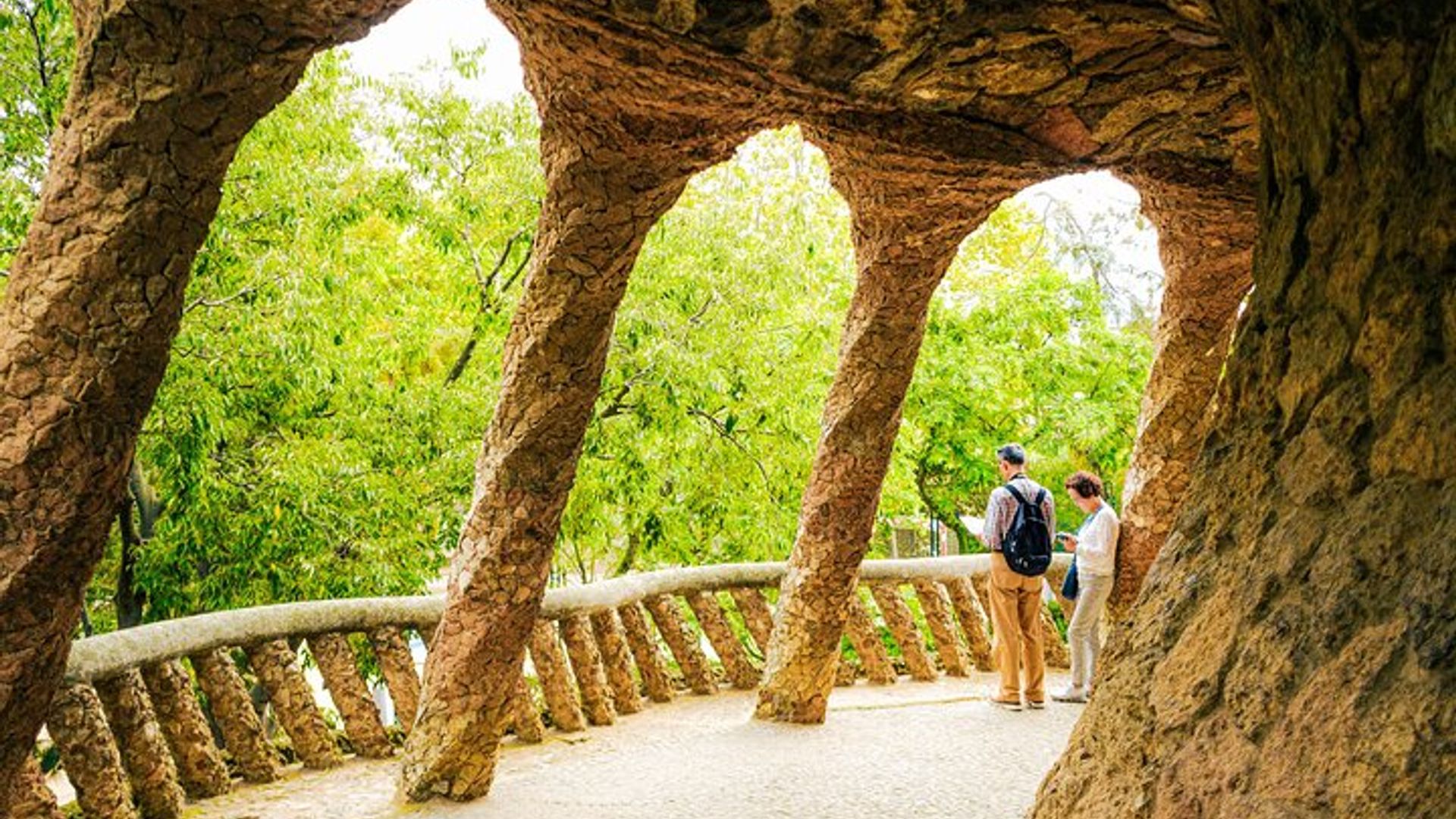 Barcelona : Private Park Güell Tour mit Vorzugszugang