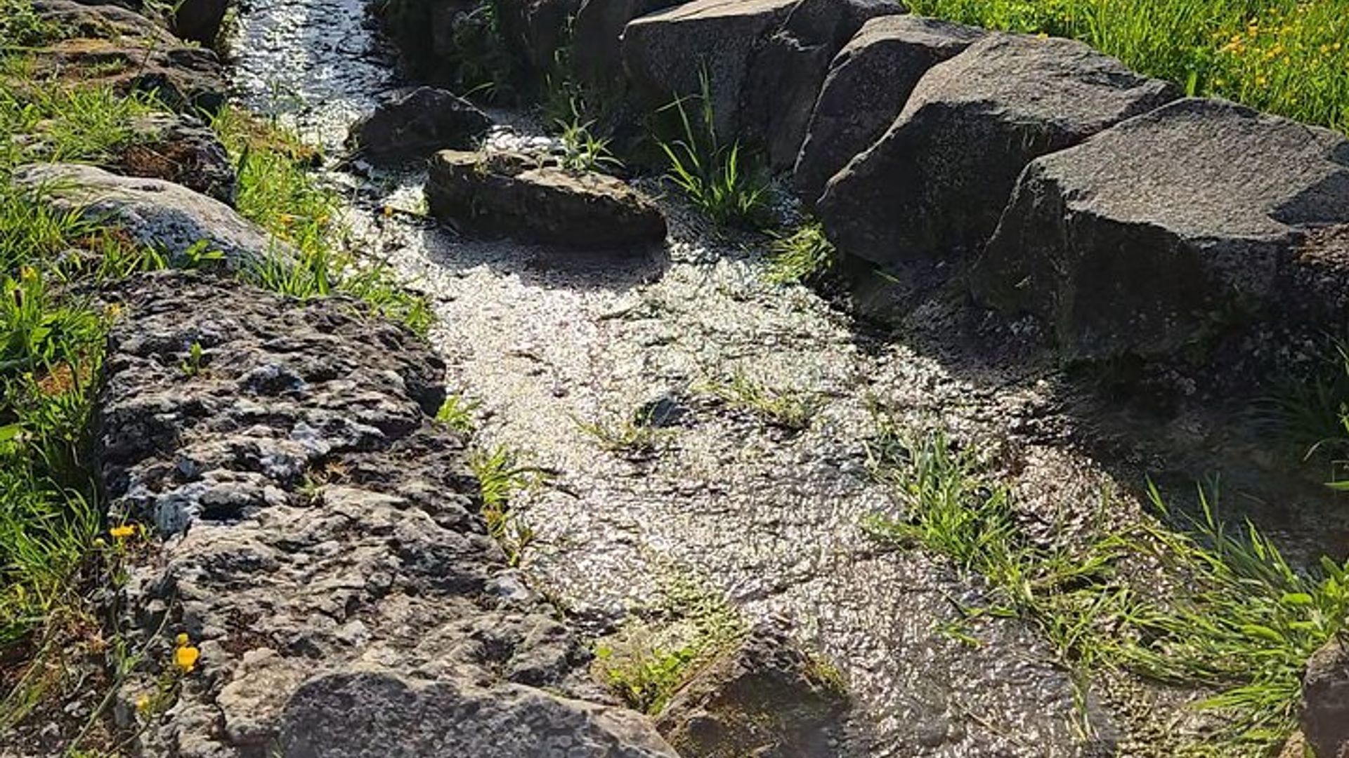 property.imageAlt