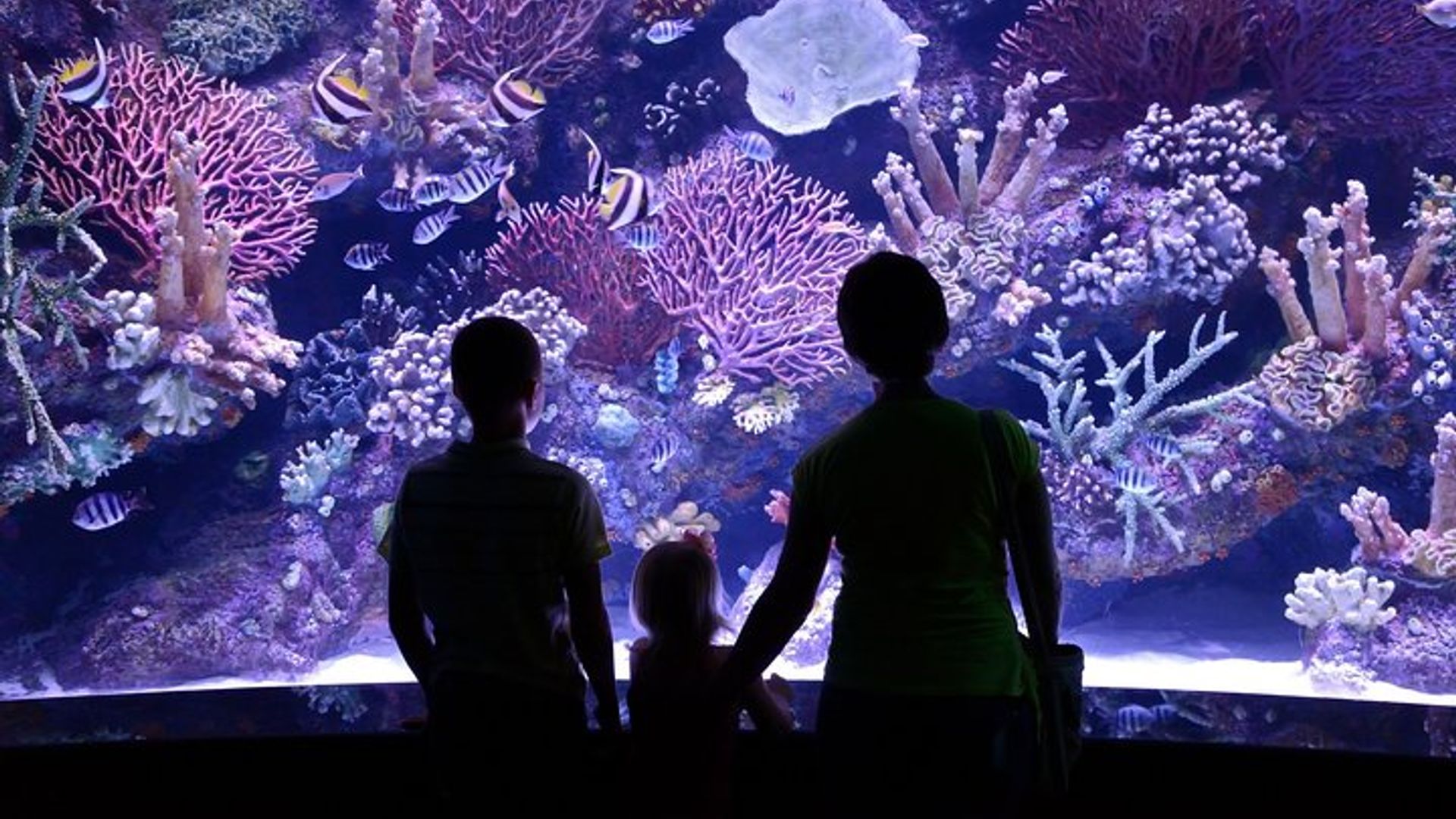 Aquarium et musée de cire Face2Face de Belek