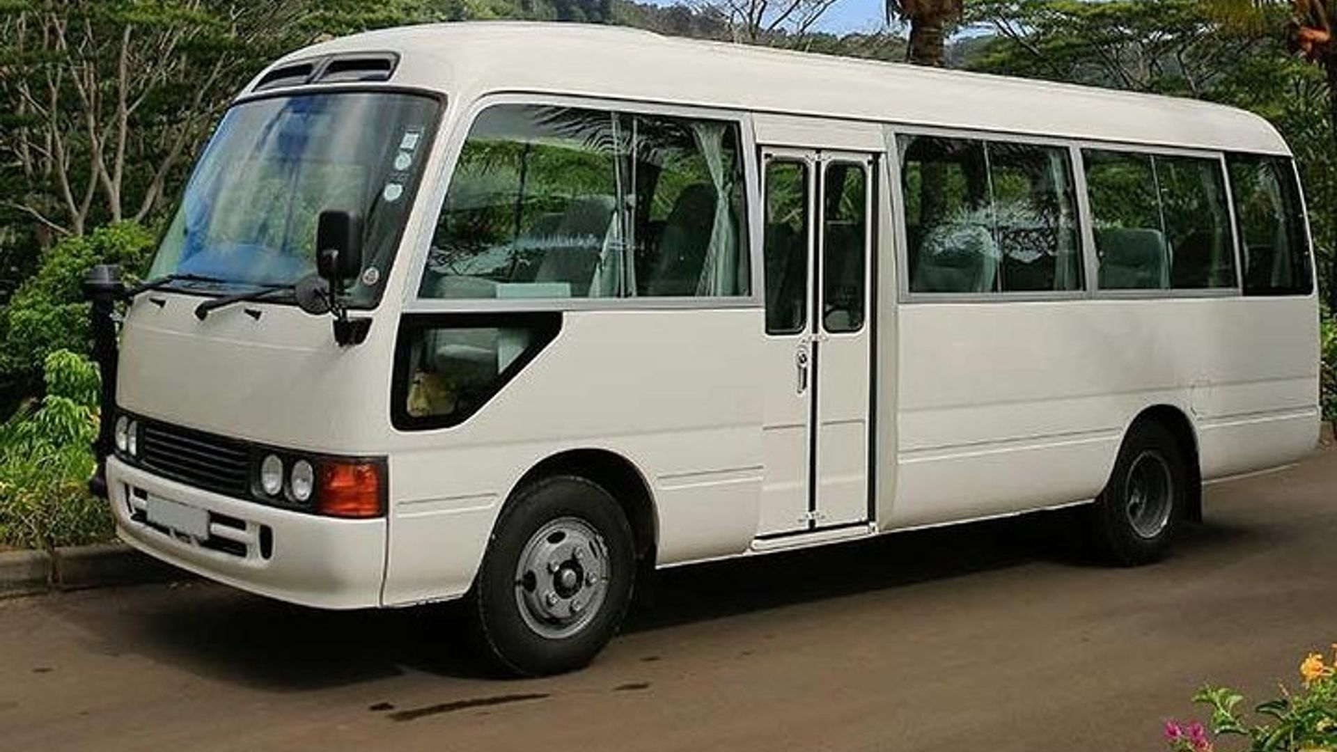 Coach Transfer
