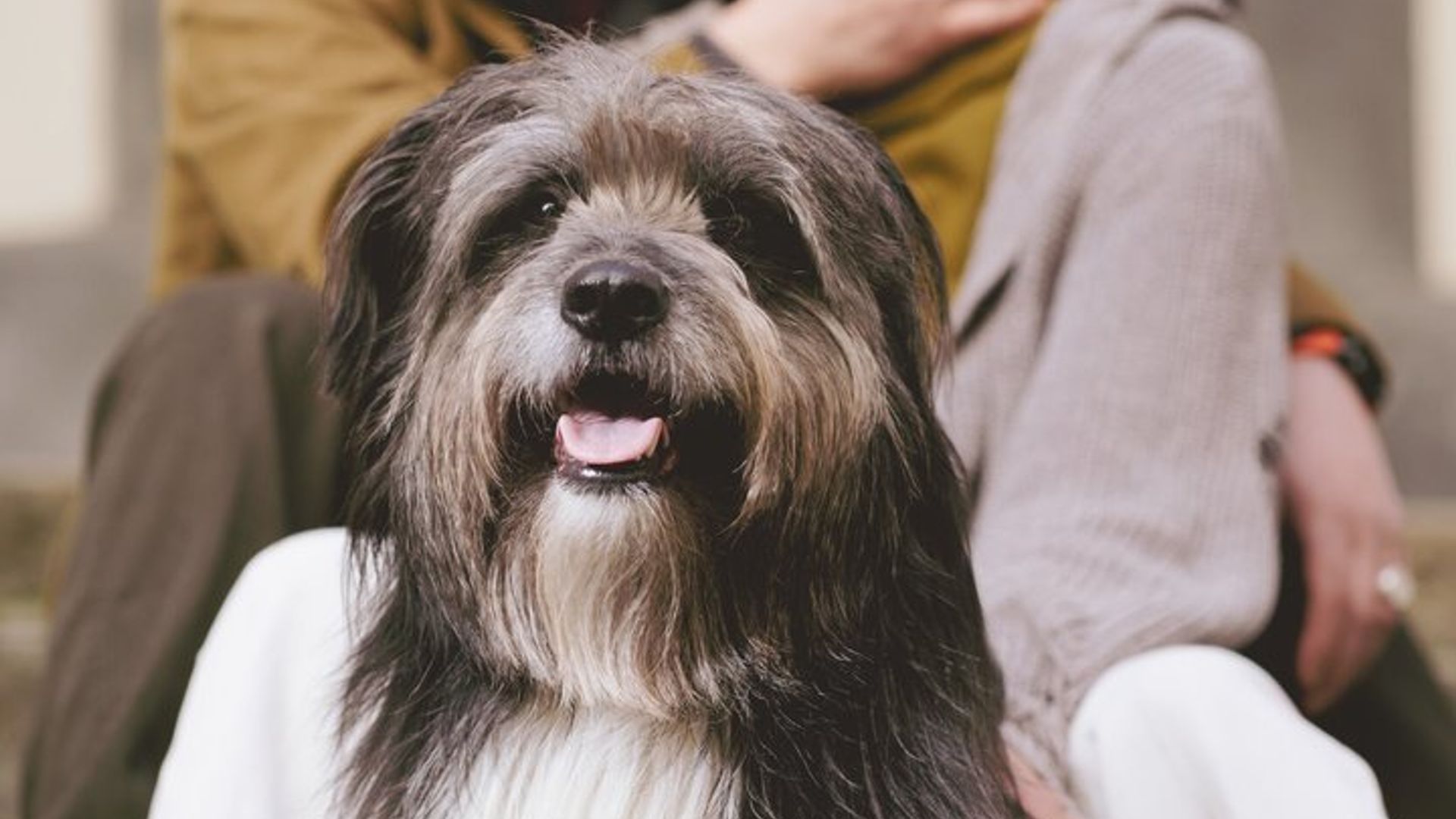 Private Photoshoot in Chur Swiss Alps Vacation Photography