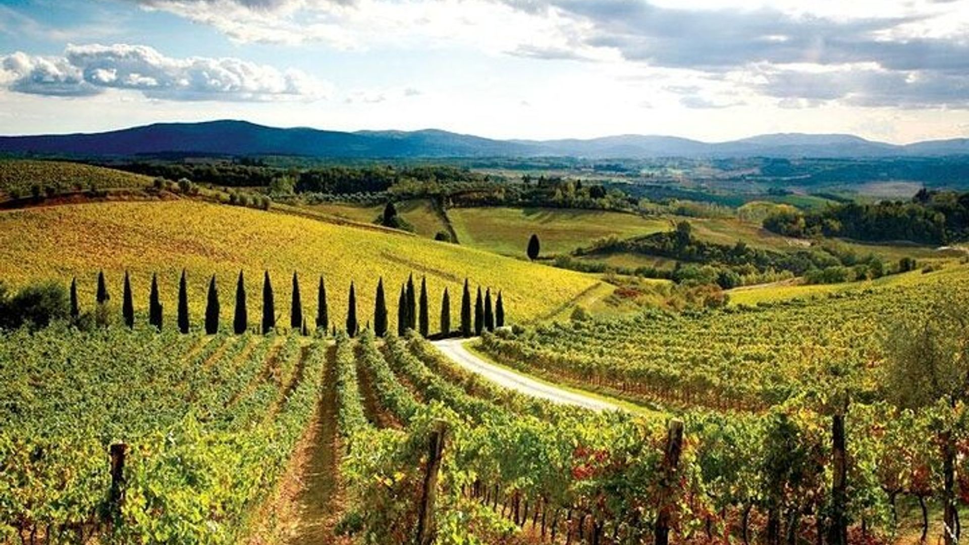 Chianti Vespa Tour