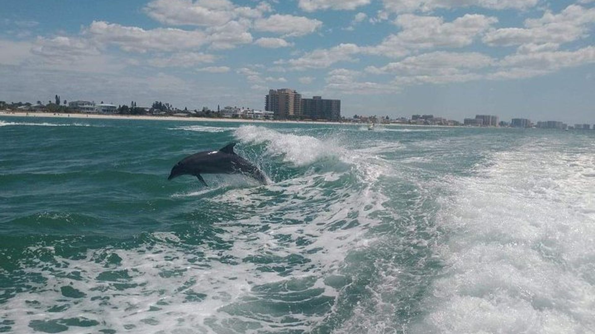 El paseo en el barco Sea Screamer en playa Clearwater con transporte