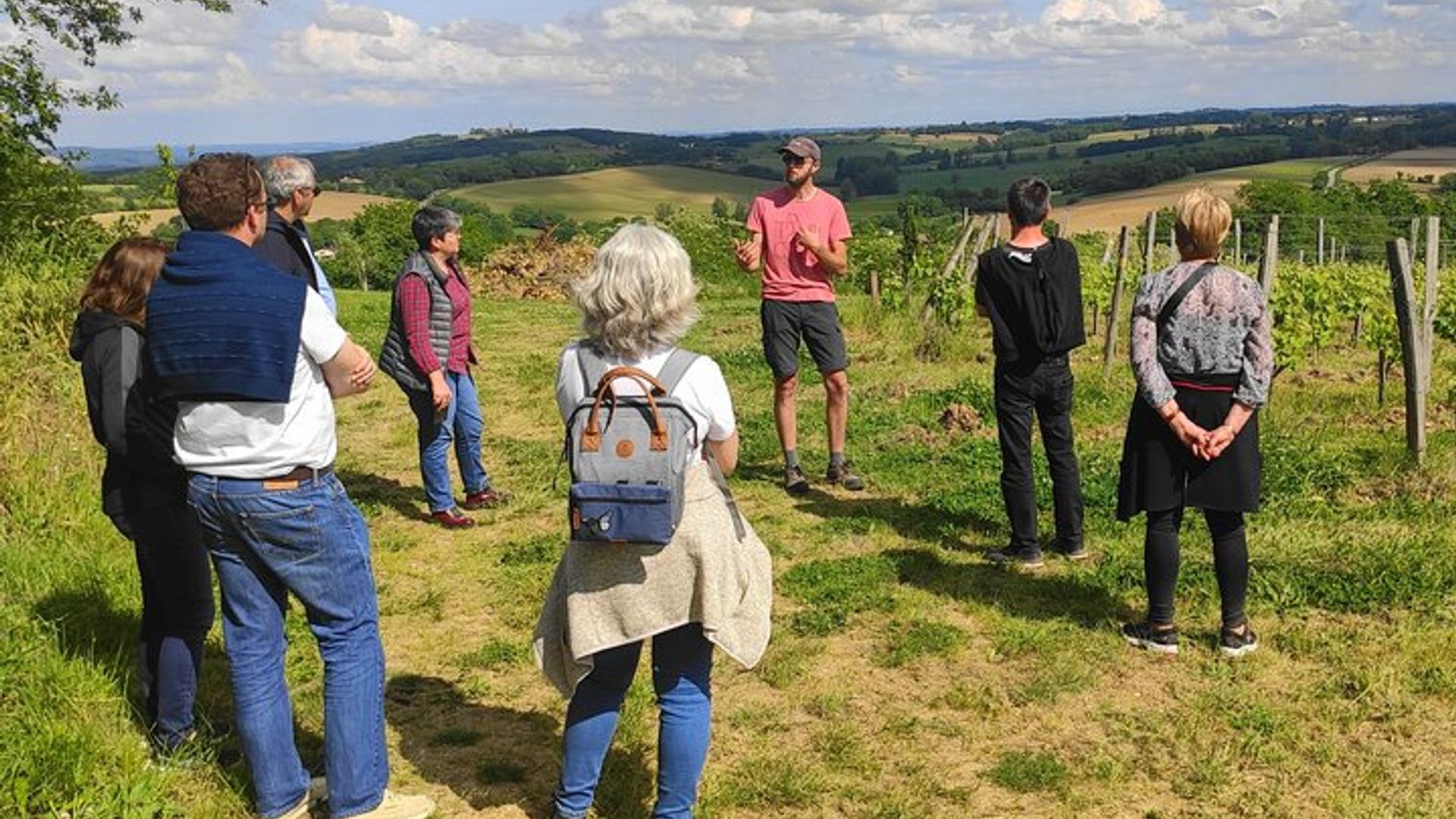 Fronton Small Group Wine Tour from Toulouse