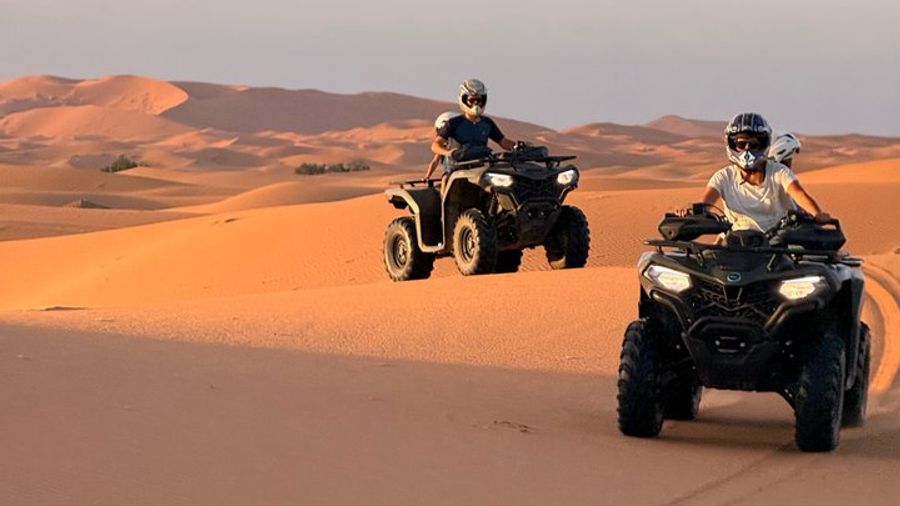 Sahara Camel Trekking and Overnight Camping Adventure